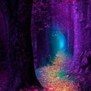 Meet your Posher, Belinda